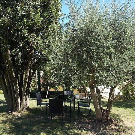 Il Borghetto Daire San Lorenzo in Campo Dış mekan fotoğraf