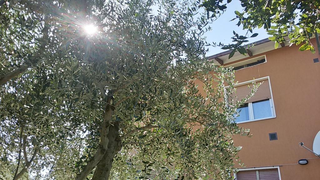 Il Borghetto Daire San Lorenzo in Campo Dış mekan fotoğraf